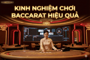 Hình ảnh bàn chơi baccarat chuyên nghiệp tại Thabet Việt Nam, phù hợp cho người mới bắt đầu.